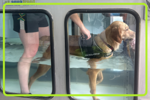 Standard Hydrotherapy