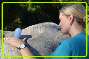 Equine Advanced Physiotherapy