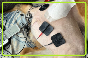 Extended Physiotherapy