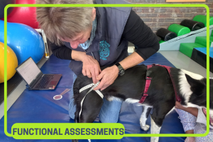 Follow up assessment