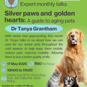 Holistic Hub Monthly Take: Caring for our senior pets