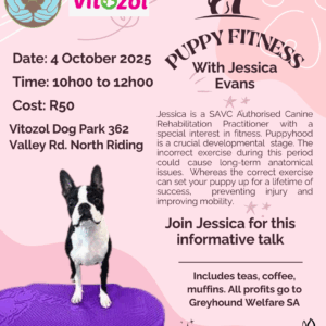 Holistic Hub Monthly Talk: Puppy Fitness with Jessica Evans