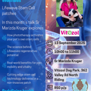 Holistic Hub Monthly Talk: Sr Marizda Kruger