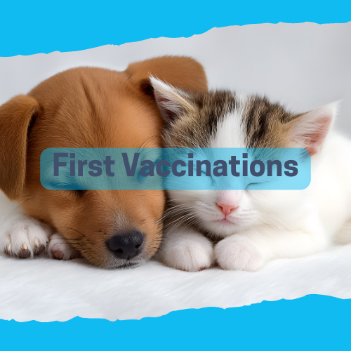 AHT Vaccination Special - Puppy younger than 12 weeks of age